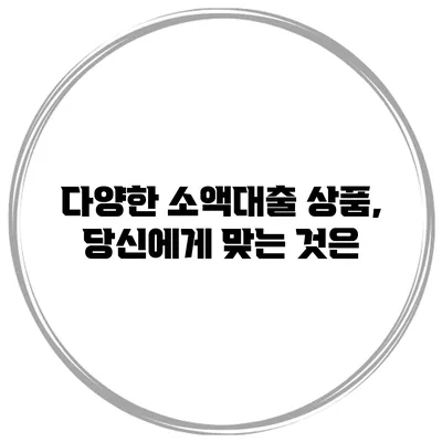 다양한 소액대출 상품, 당신에게 맞는 것은?