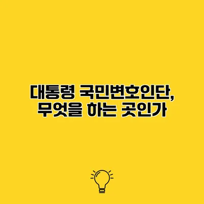 대통령 국민변호인단, 무엇을 하는 곳인가?