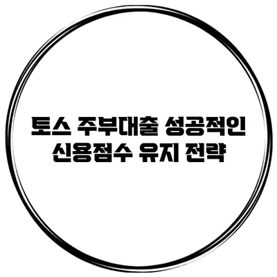 토스 주부대출 성공적인 신용점수 유지 전략