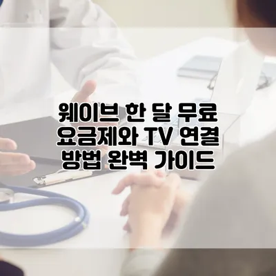 웨이브 한 달 무료 요금제와 TV 연결 방법 완벽 가이드